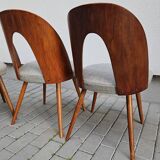 Chaises conçues par Antonín Šuman pour Tatra Nabytok, Tchécoslovaquie des années 1960.