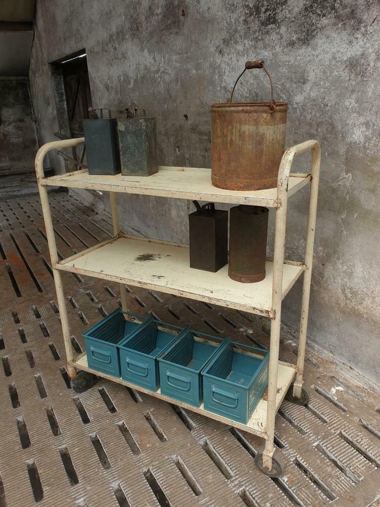 Industrial shelving trolley