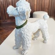 Mid-century poodle