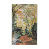 Table Aquarelle of the beginning of the 20th century: "Forest of morvan"