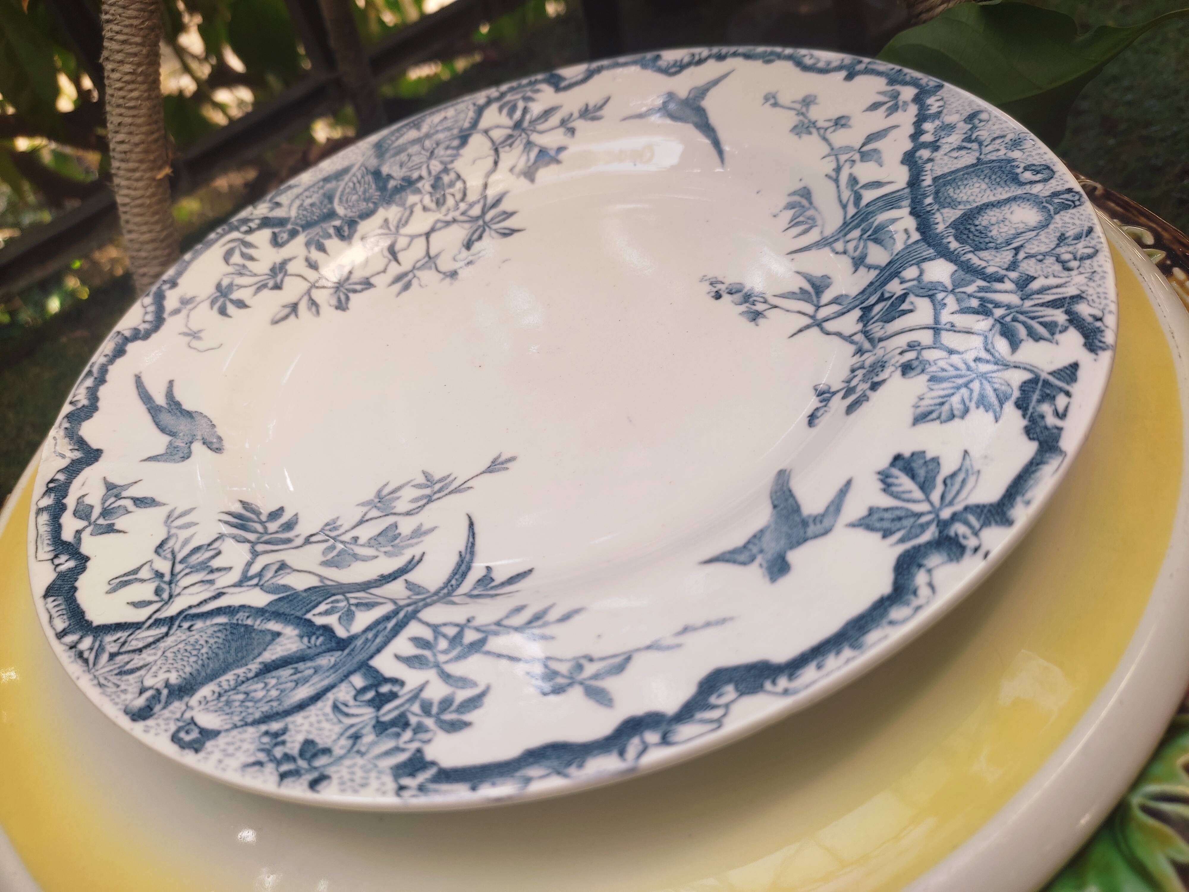 7 plates in earthenware with bird motifs by Lunéville