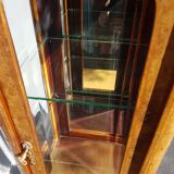 Curiosity cabinet showcase 1900