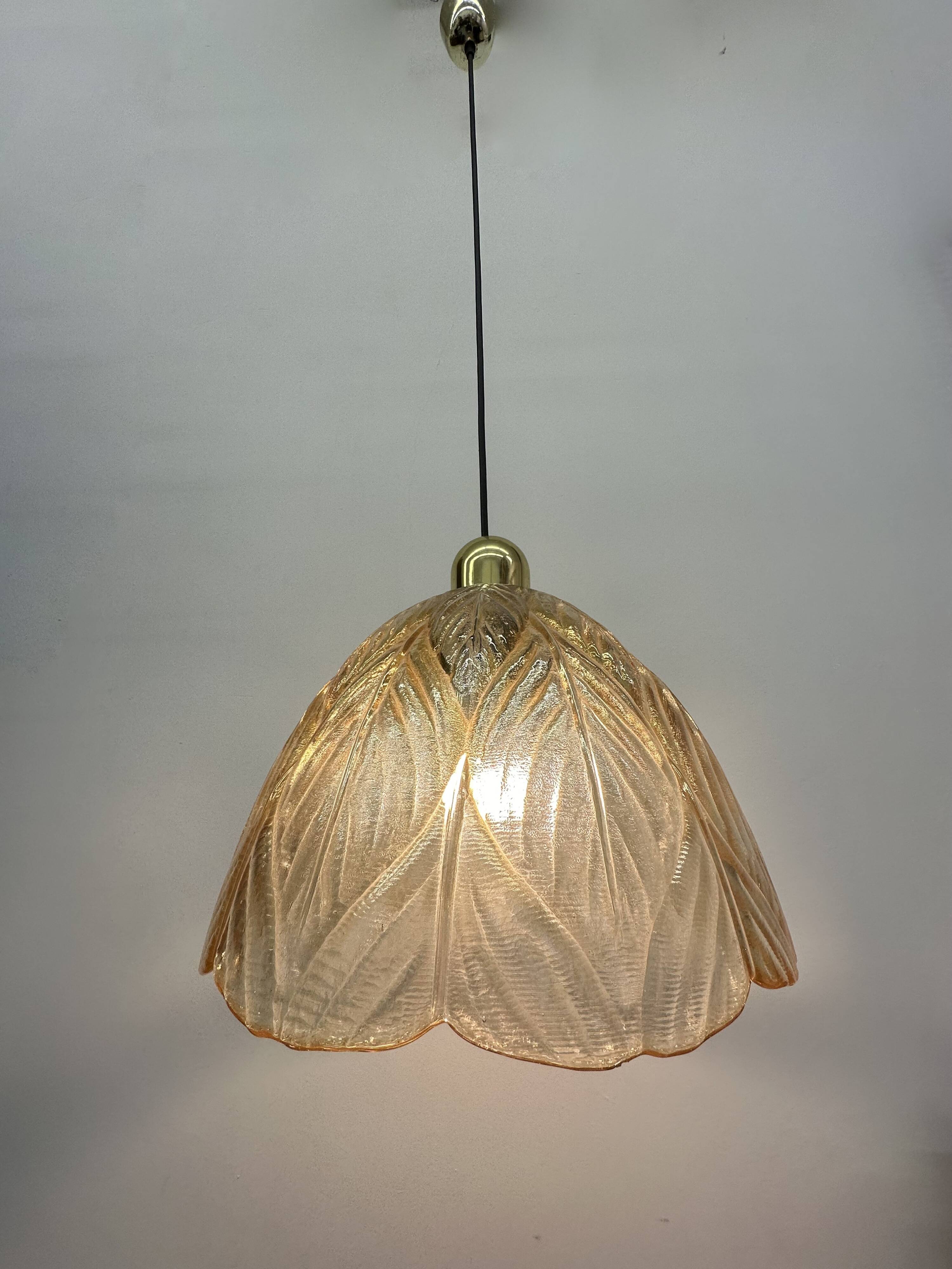 Peil & Putzer glass leaf hanging lamp , 1970’s