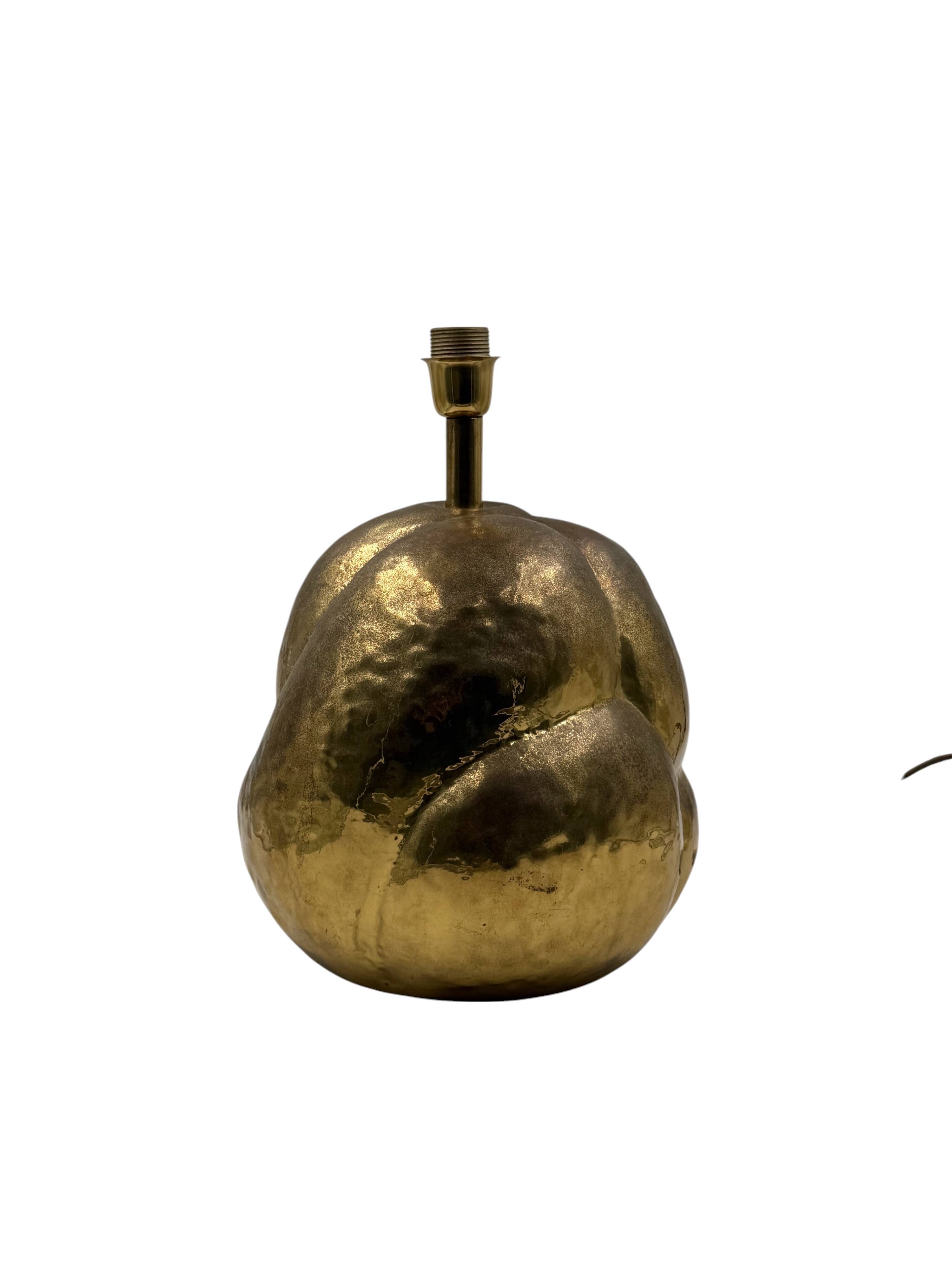 Organic modern brass table Lamp, Tommaso Barbi Italy 1970