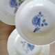 Digoin Sarreguemines Blue Rose Deep Dish