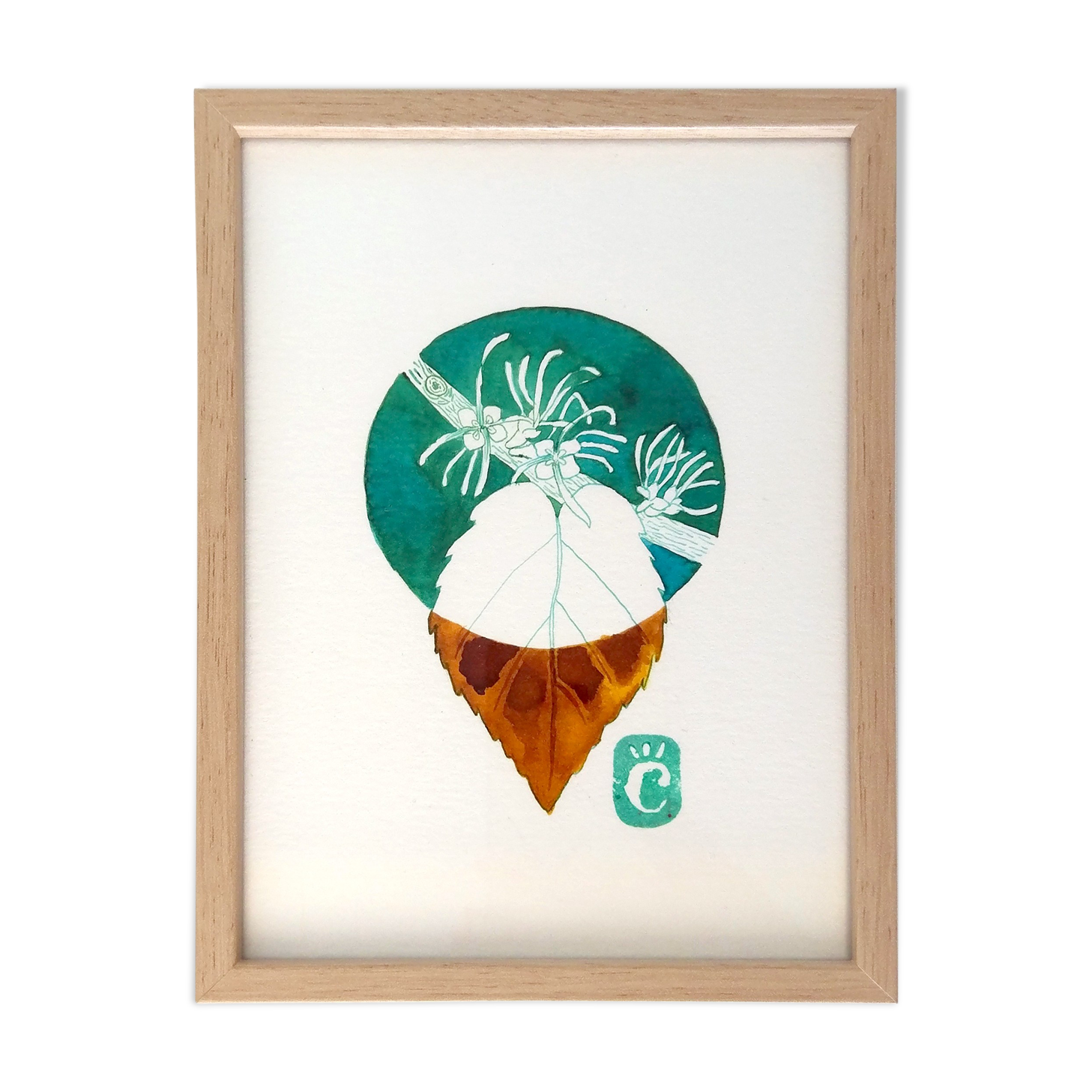 Hamamélis - 13 x 18 cm - winter flower series