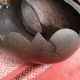 Coconut basket buttocks of Seychelles
