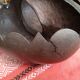 Coconut basket buttocks of Seychelles