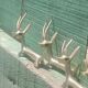 Solid brass knife holder gazelle antelope