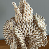 Lampe vintage en coquillages Cauris