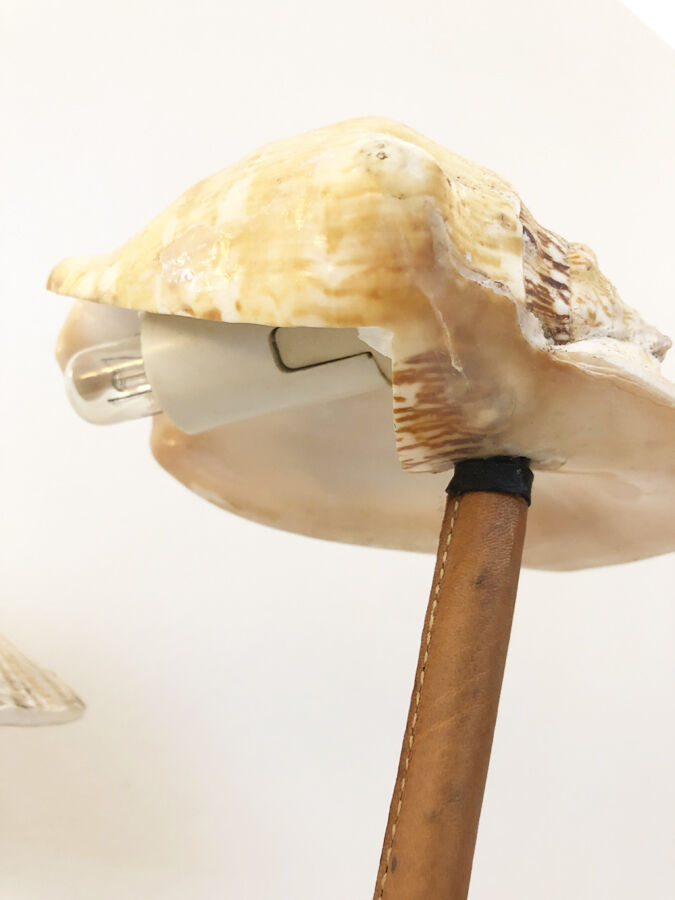 Rattan lamp and shells, 1930