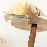 Rattan lamp and shells, 1930