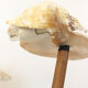 Rattan lamp and shells, 1930