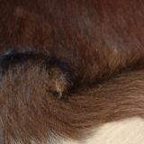 Vintage cow skin carpet, 140 cm x146 cm