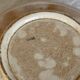 Antique ironstone salad bowl - Patina - Green and orange floral decoration