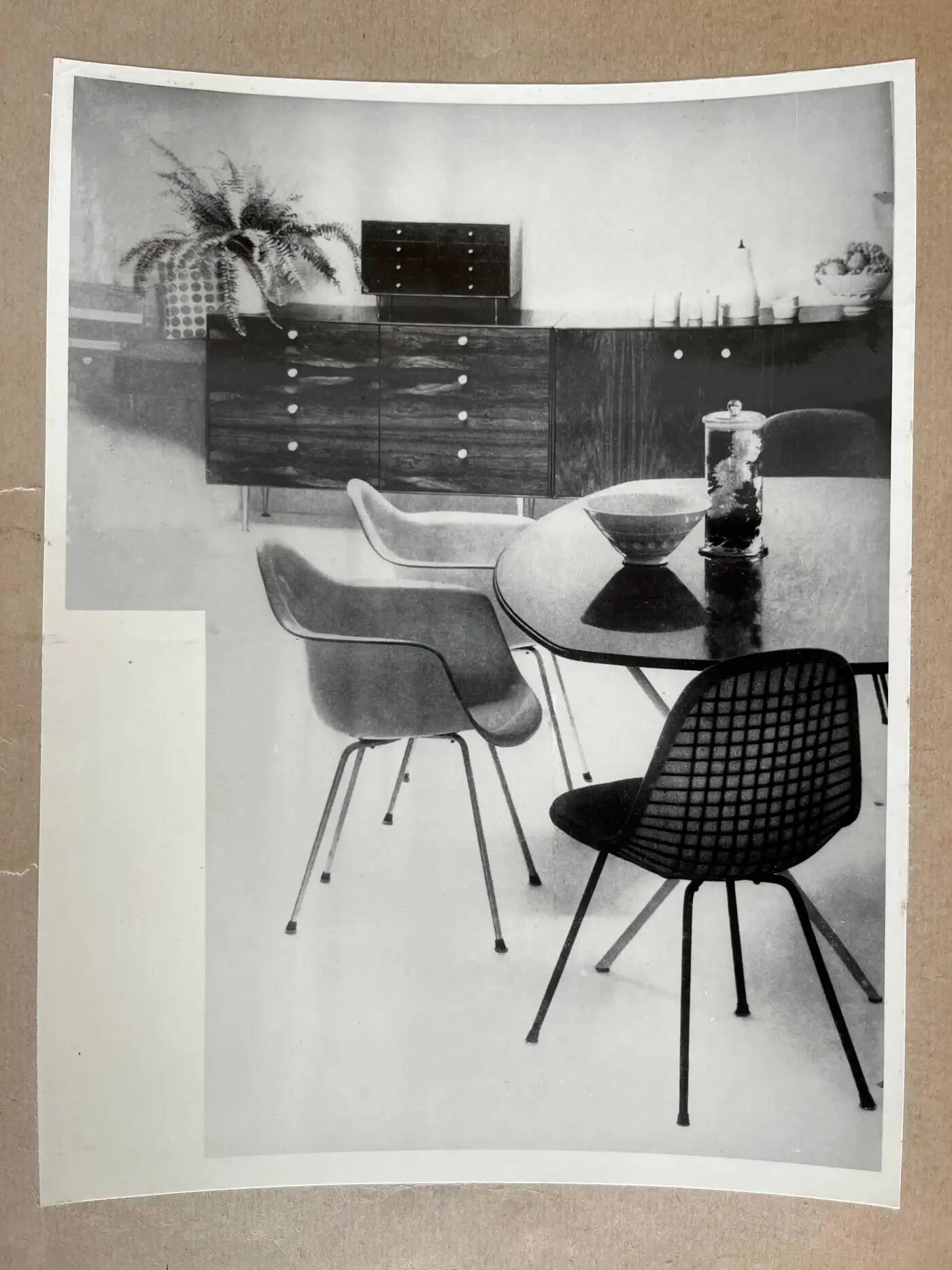 Original photo of furniture / dining chairs by Herman Miller, 1953