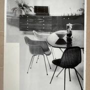 Original photo of furniture / dining chairs by Herman Miller, 1953