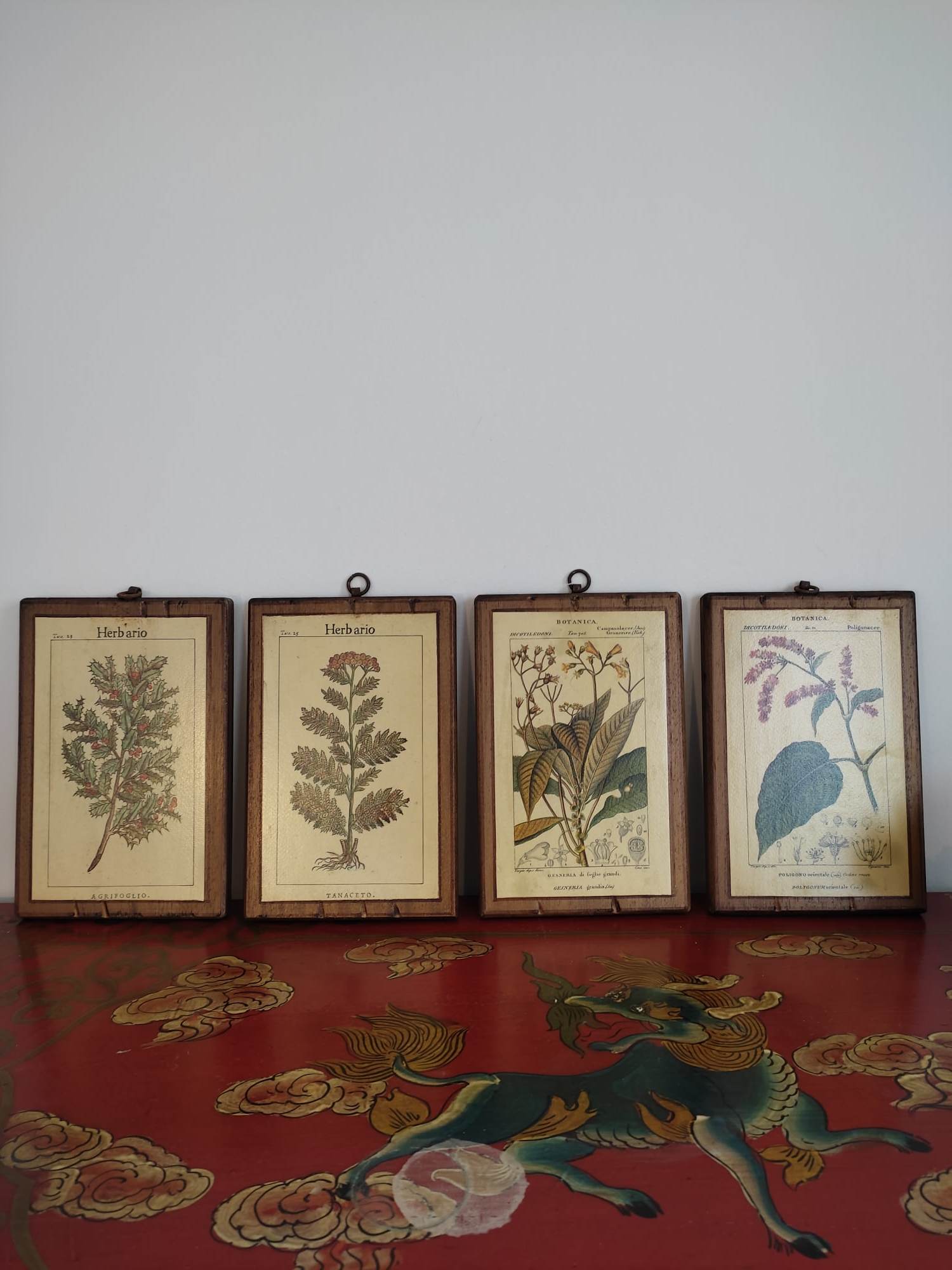 Set of 4 botanical boards with wooden frames