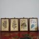 Set of 4 botanical boards with wooden frames