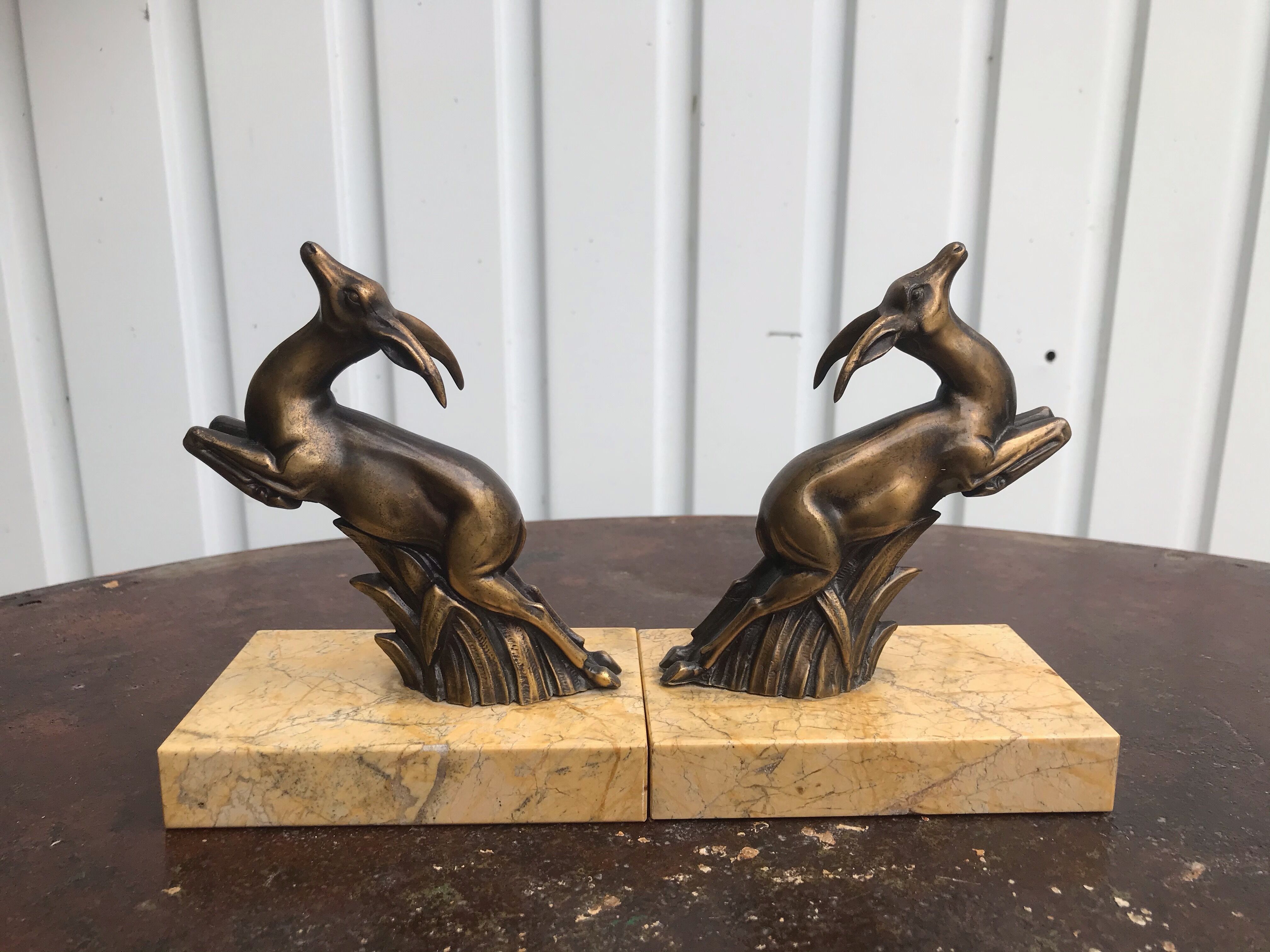 Greenhouse books antelopes