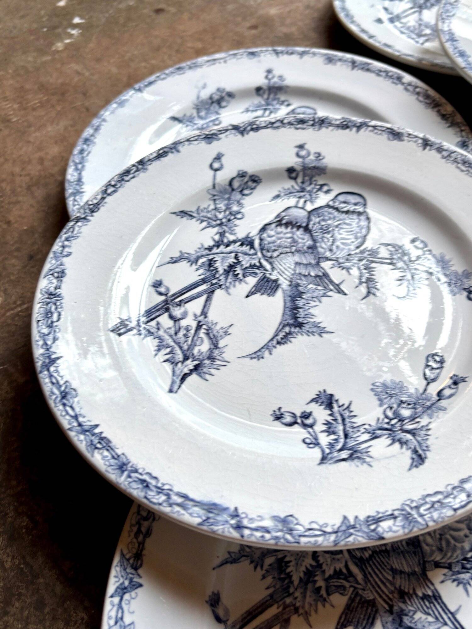 6 flat plates Clairefontaine - Léon Graves in ironstone, "Chardonnerets" service from the late 19th century.