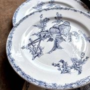 6 flat plates Clairefontaine - Léon Graves in ironstone, "Chardonnerets" service from the late 19th century.