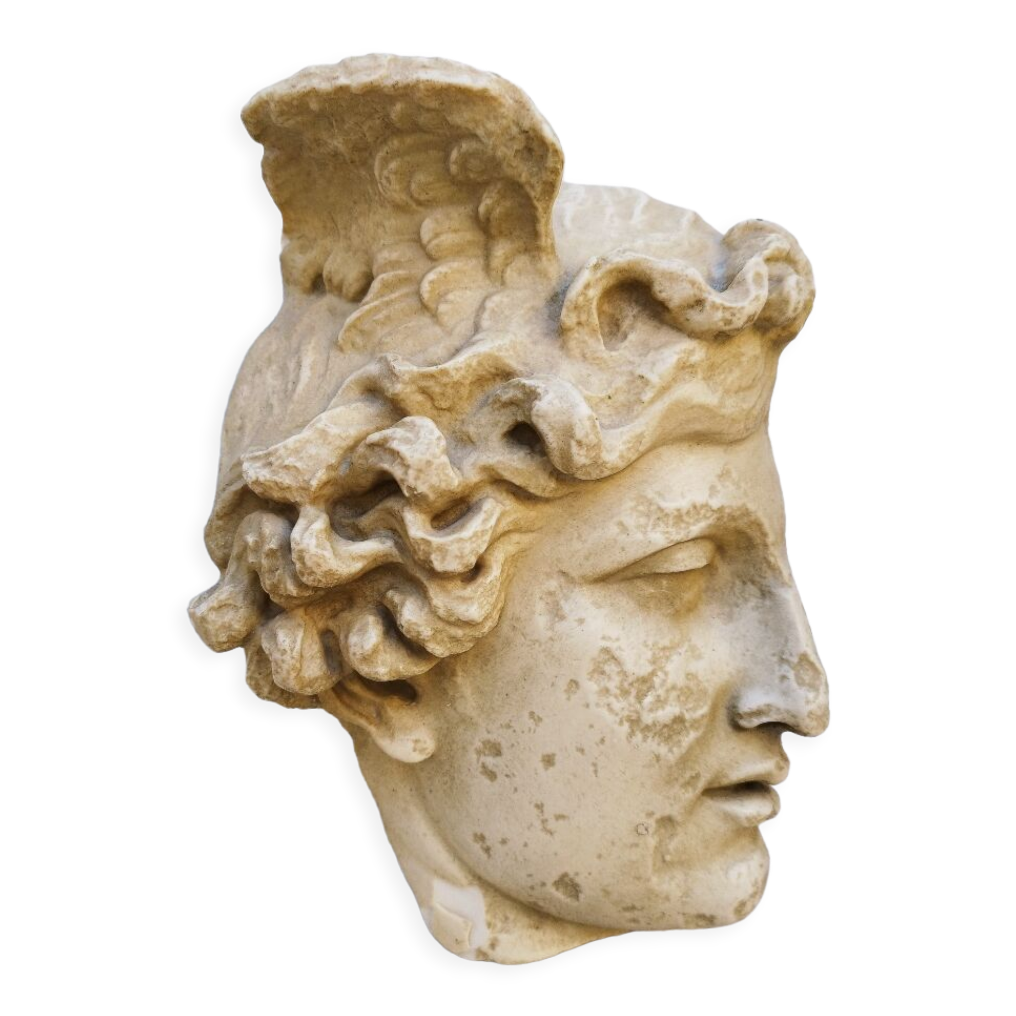 Profile of Apollo cast from the Louvre Museum