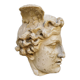 Profile of Apollo cast from the Louvre Museum