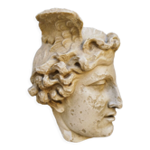 Profile of Apollo cast from the Louvre Museum