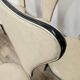 Set of Six Mid-Century Modern Dining Chairs by Umberto Mascagni