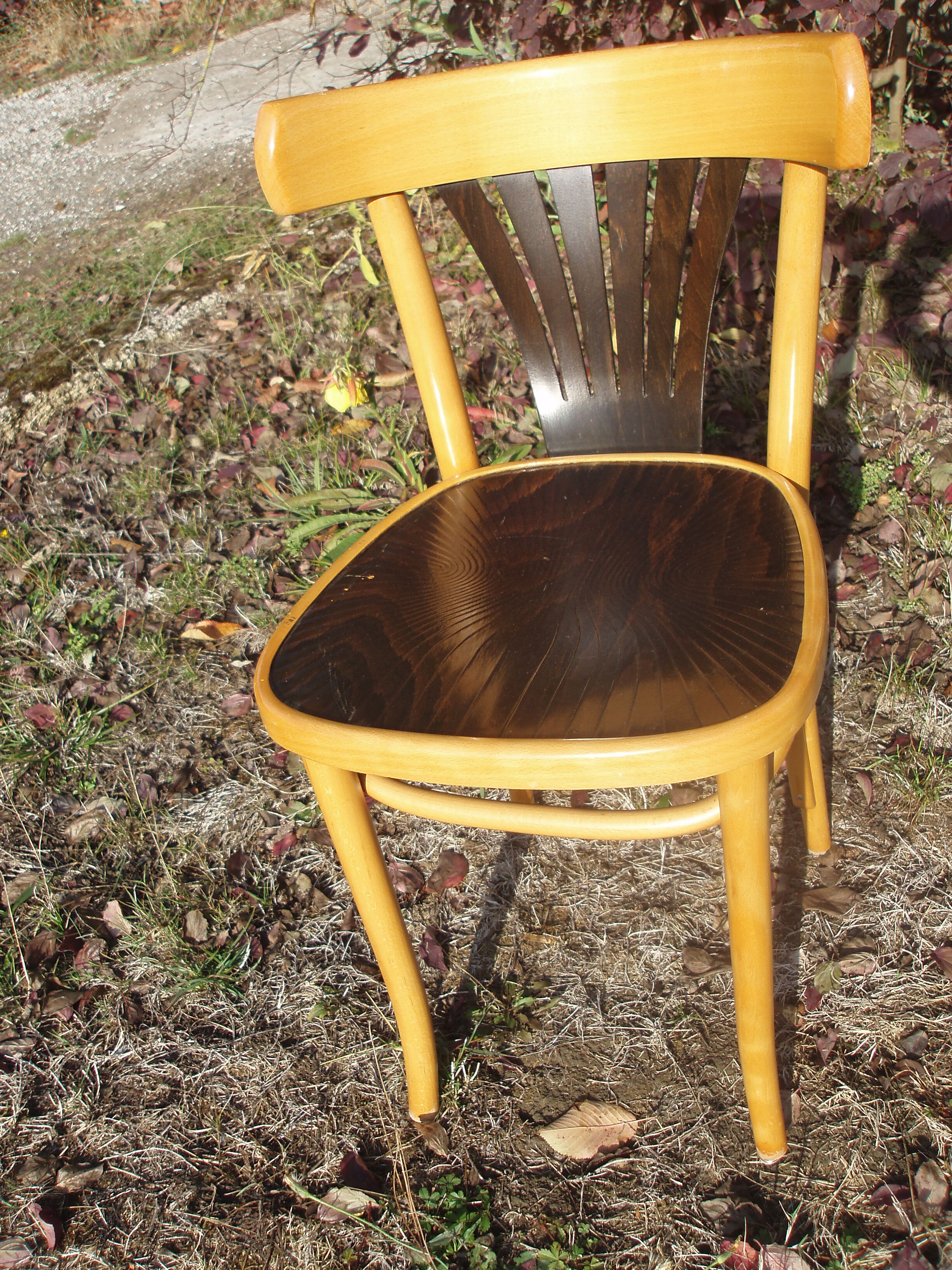 Set of 4 chairs wooden coffee multicore gold and black