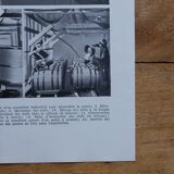 Set of 2 lithographs on insects and eggs