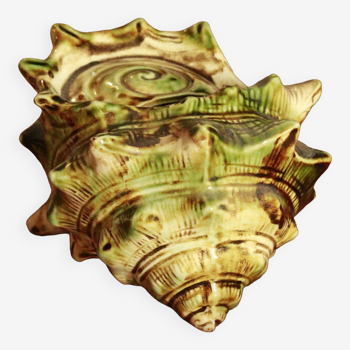 Ancient ceramic shell