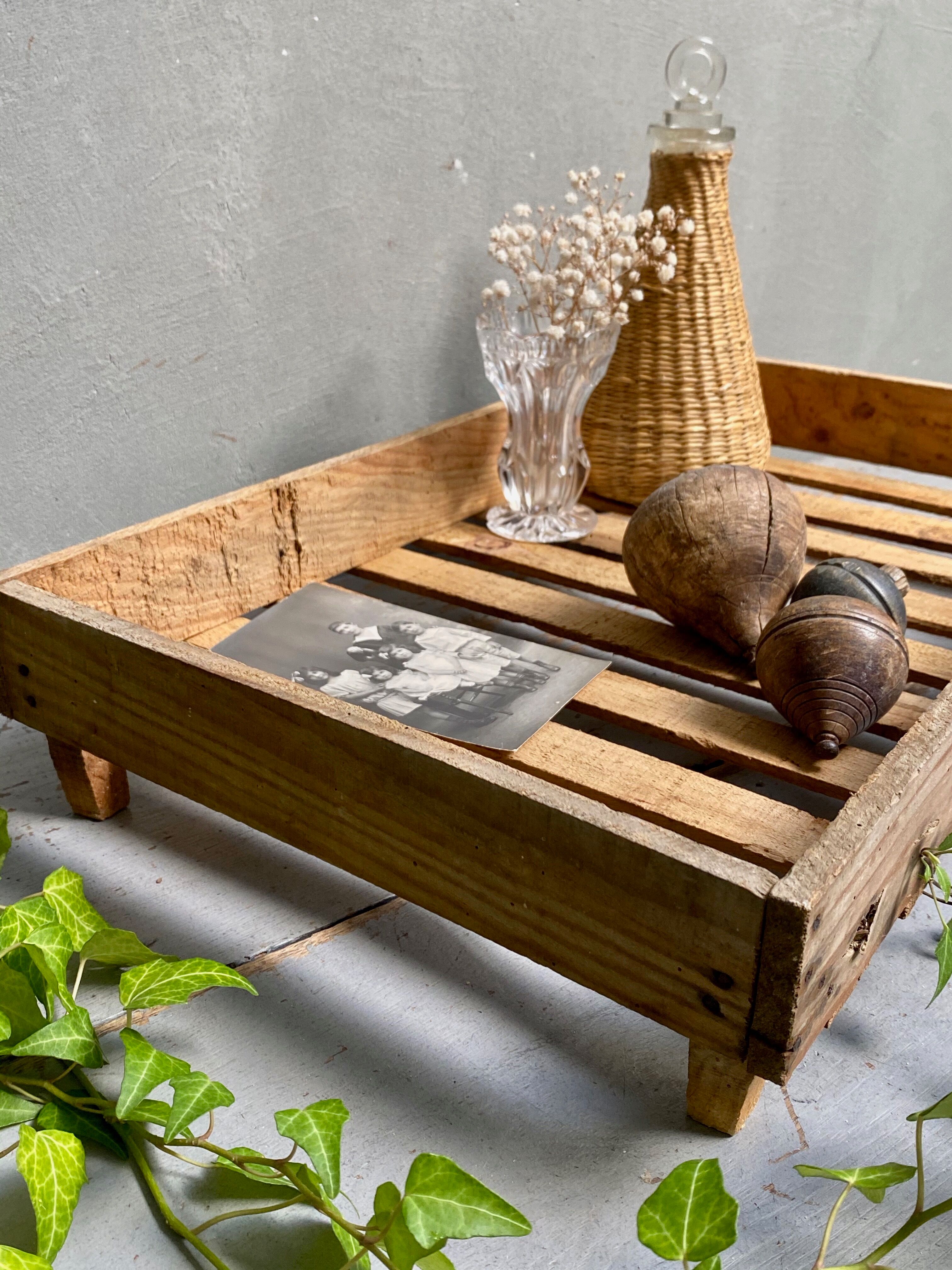 Market gardener tray