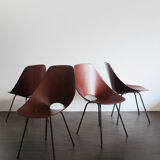 Vittorio Nobili for Fratelli Tagliabue Italian Medea dining chairs, 1950s