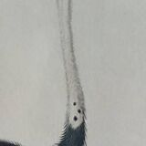 Ornithological Plate Buffon 1838 "Ostrich & Cassowary"