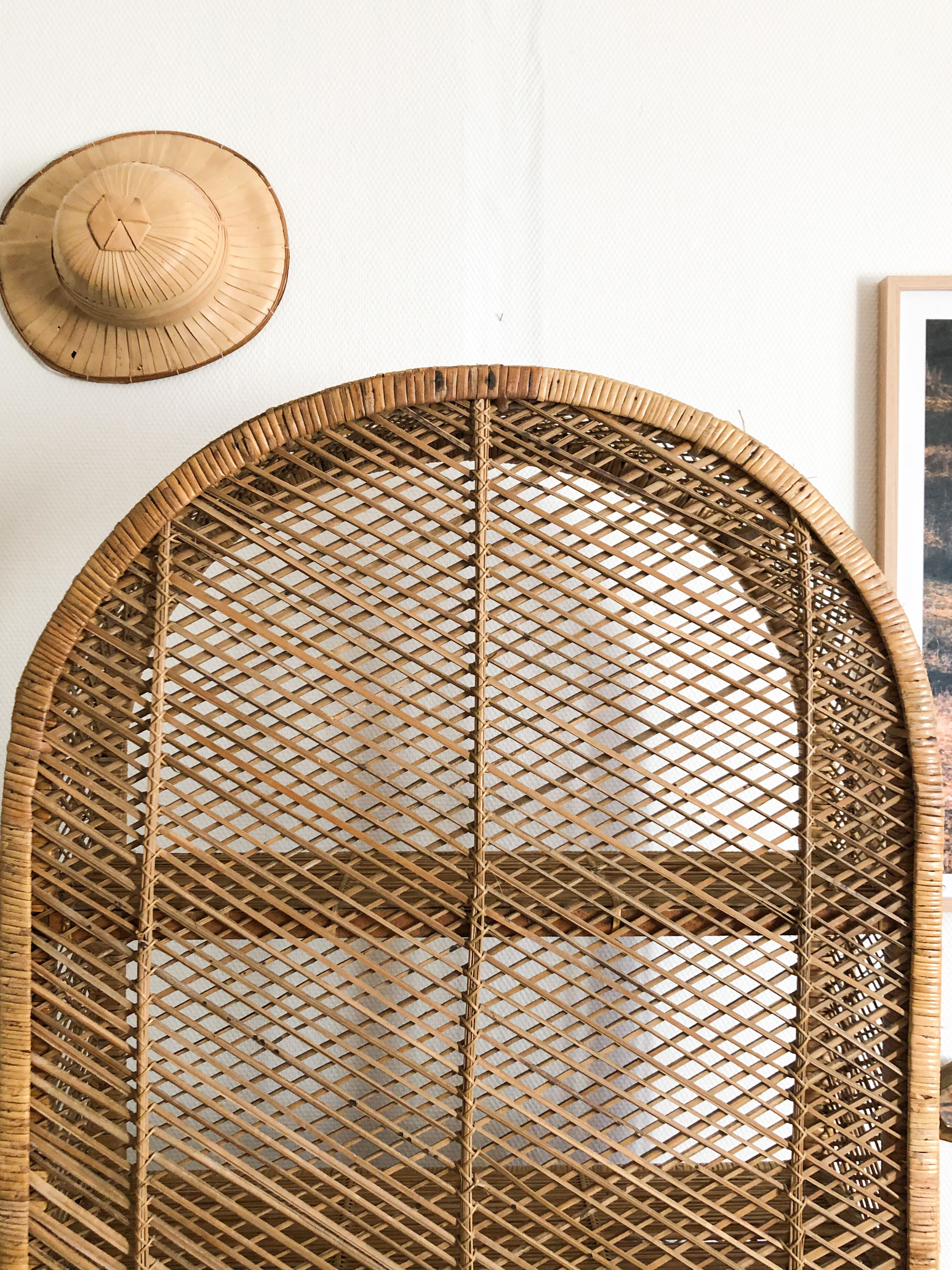 Sublime wicker shelf