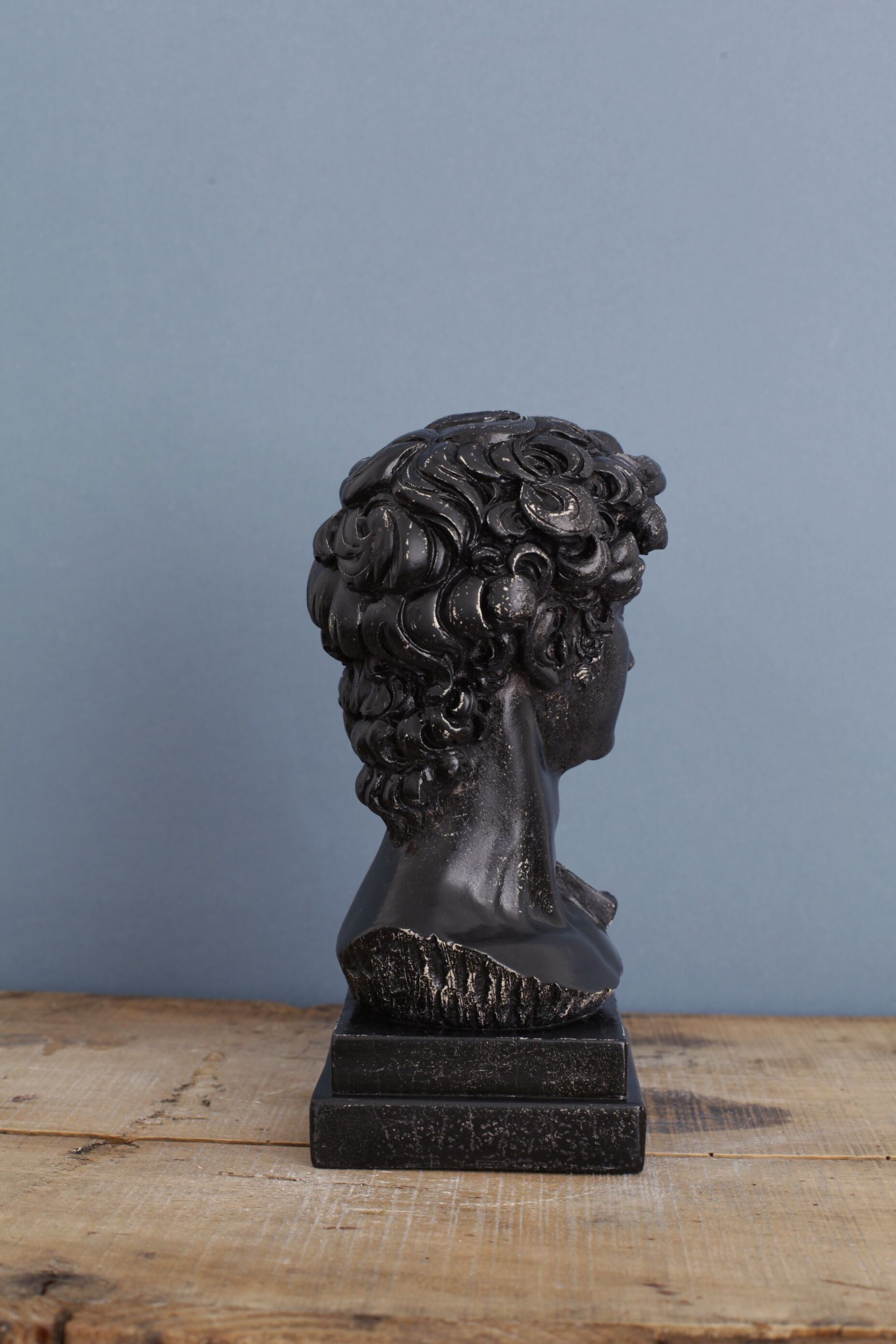 David head in black waxed bean