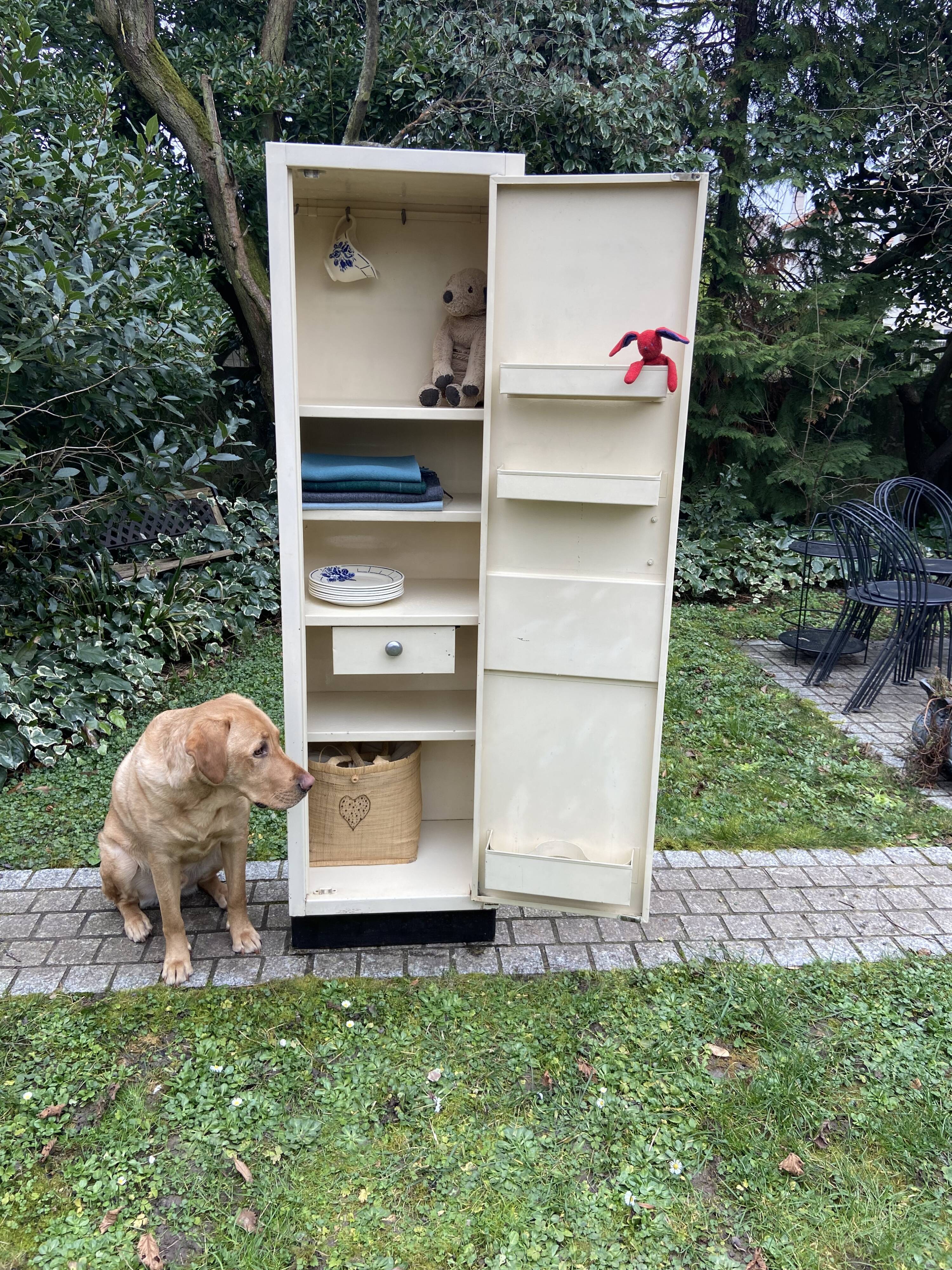 Vintage metal cabinet 1950