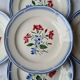Digoin Sarreguemines 6 flat plates Elorn