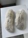 Pair of Fungia "shark cushion" corals