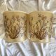 Paire d'appliques vintage herbiers