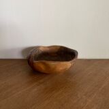 Olive shell dish