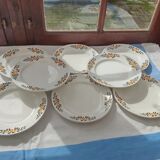 8 flat plates Denise