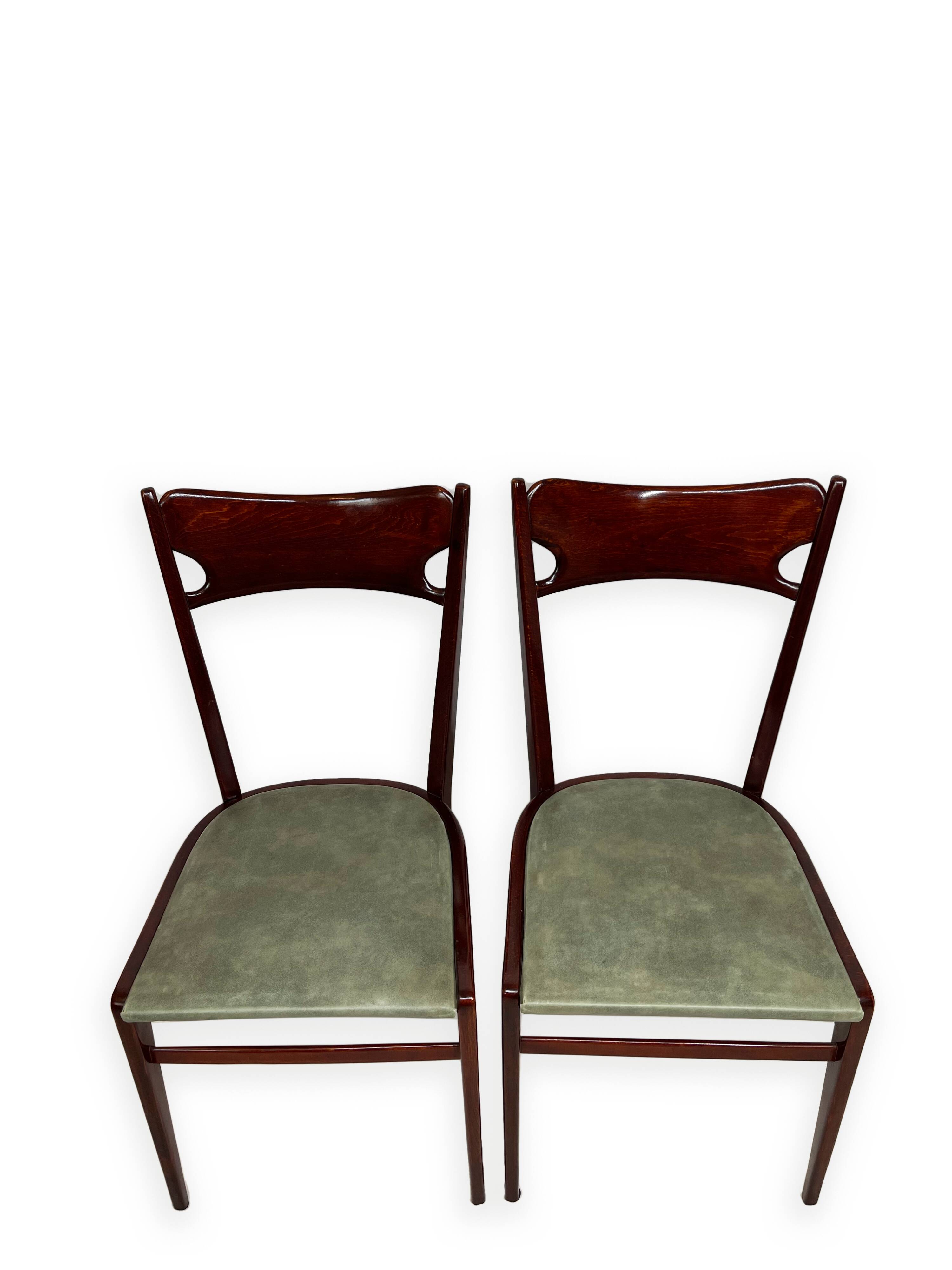 Chaises de salle à manger en bois de hêtre aux tons verts, années 1950