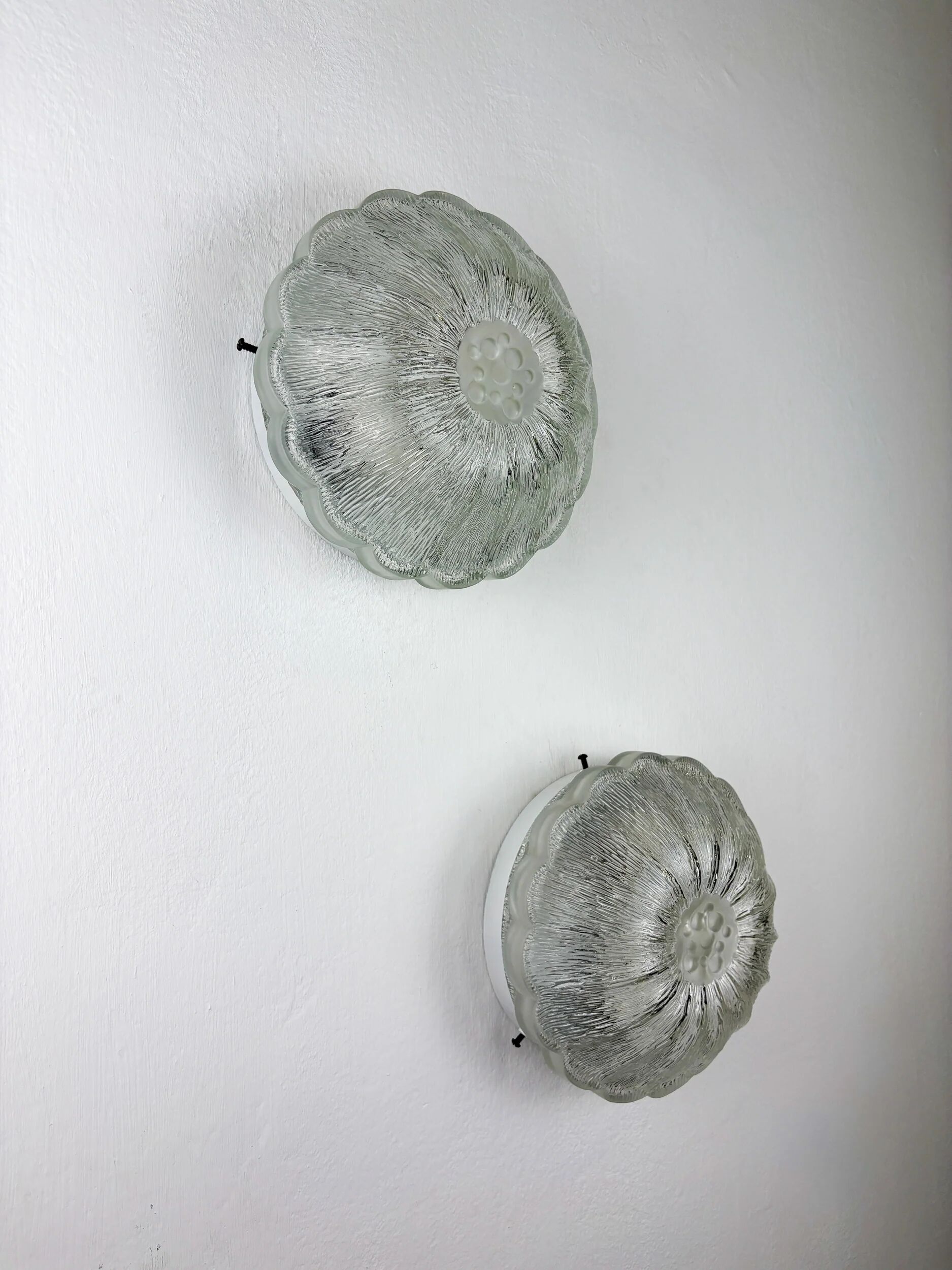 Pair of "Daisy Flower" wall sconces by Limburg, frosted glass, Germany 1960s