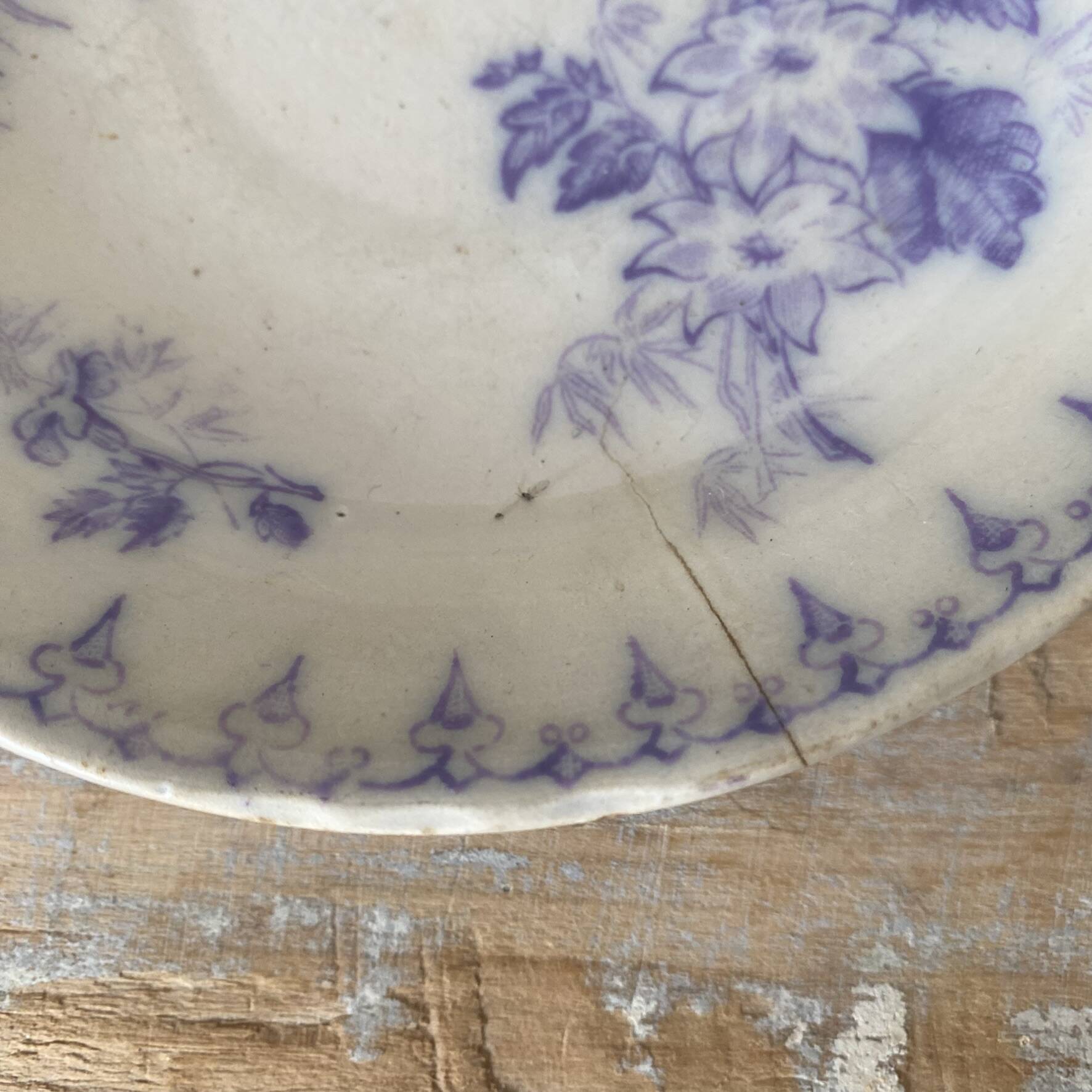 Assiettes en terre de fer décor Flore , coupelles  anciennes