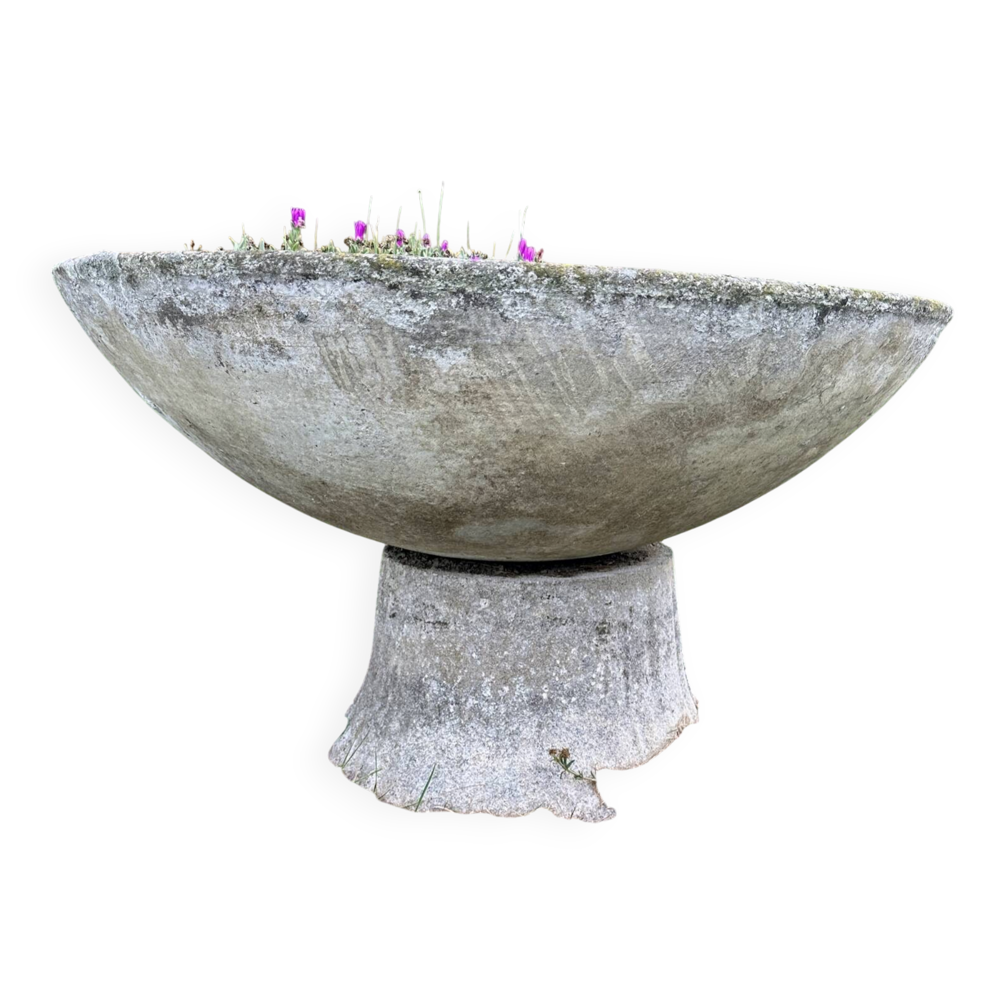 Old planter, pedestal basin by Willy Guhl