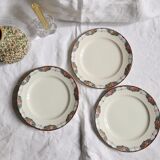 Lot of 5 dessert plates - iron earth