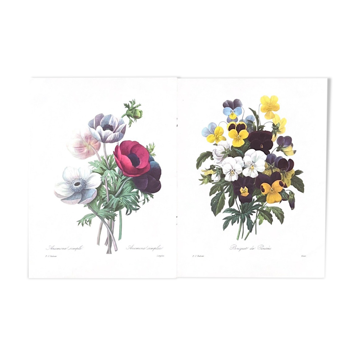 The bouquets of spring - PJ Redouté